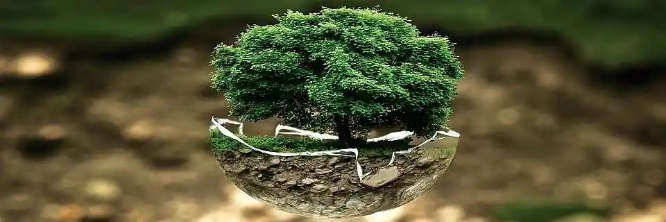 Environmental protection page graphic (small tree)